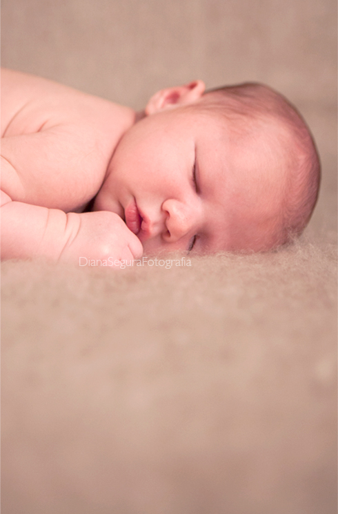 04-diana-segura-estudio-baby