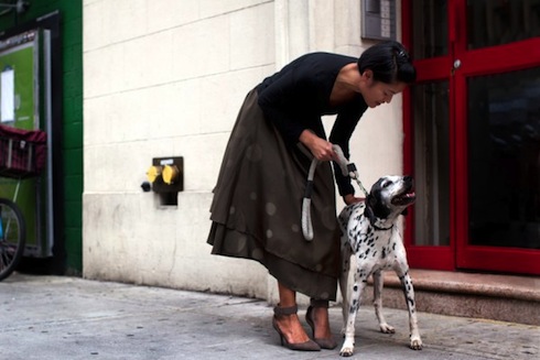 81913dog0605web-600x400