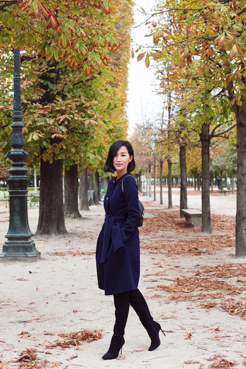 Autumn in Paris 1