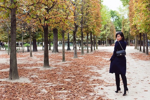 Autumn in Paris 2