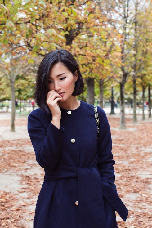 Autumn in Paris 4