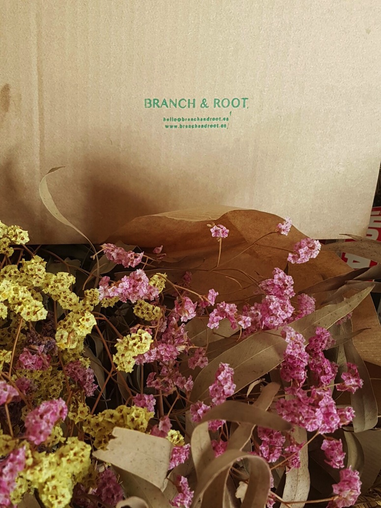 branch-and-root-1-1