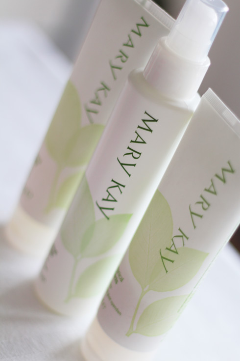 BeautyPartywith MaryKay_LostinVogue_03
