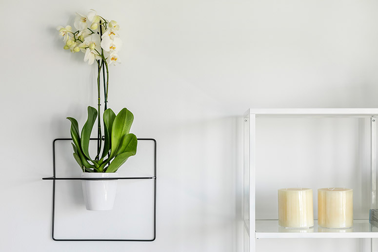 Decorarunapartamentofacilmente_EliG_EliandEli_ZalandoPrive_17