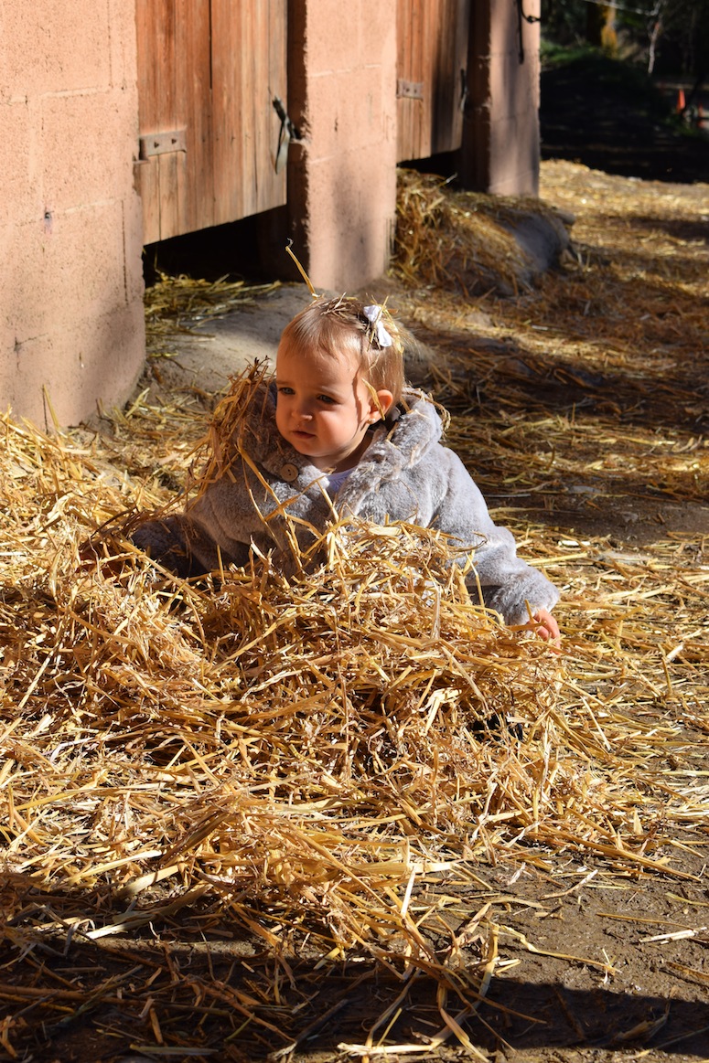 finde-rural-en-familia-todos-los-derechos-reservados-www-lostinvogue-com-10
