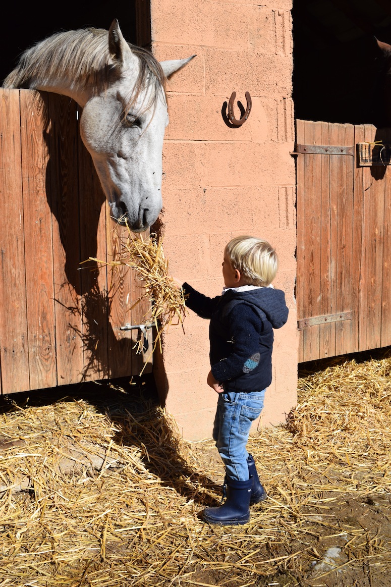 finde-rural-en-familia-todos-los-derechos-reservados-www-lostinvogue-com-6