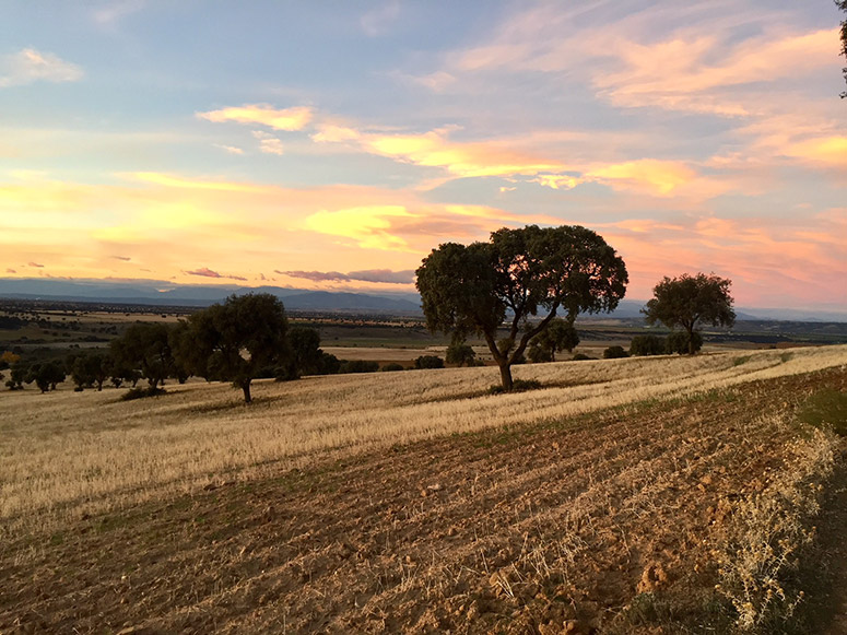 FindesemanaenelCampo_LostinVogue_04