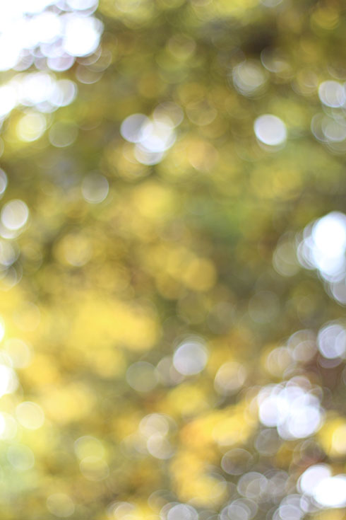Floresdecolores_EliG_LostinVogue_11