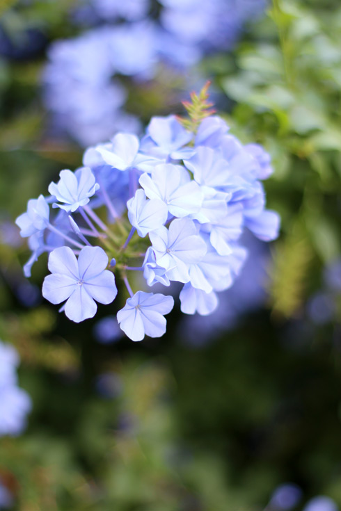 I'mBlue_EliG_Lostinvogue_14