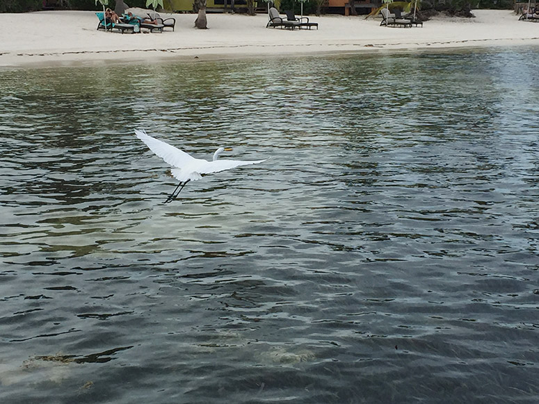 lostinbelize_elig_lostinvogue_16