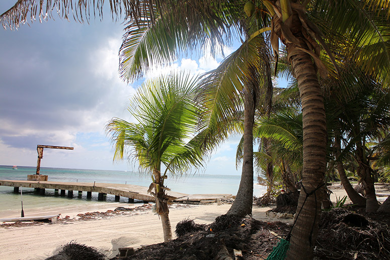 lostinbelize_elig_lostinvogue_22