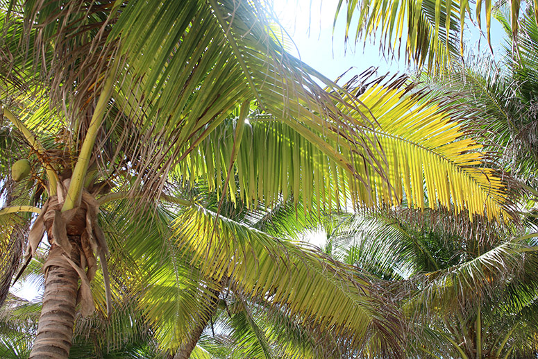 lostinbelize_elig_lostinvogue_23