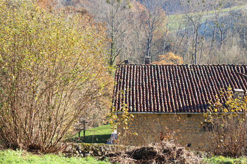 LostinCoolPlaces_LaCasona deAbamia_Asturias_23