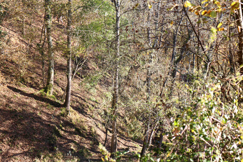 LostinCoolPlaces_LaCasona deAbamia_Asturias_24