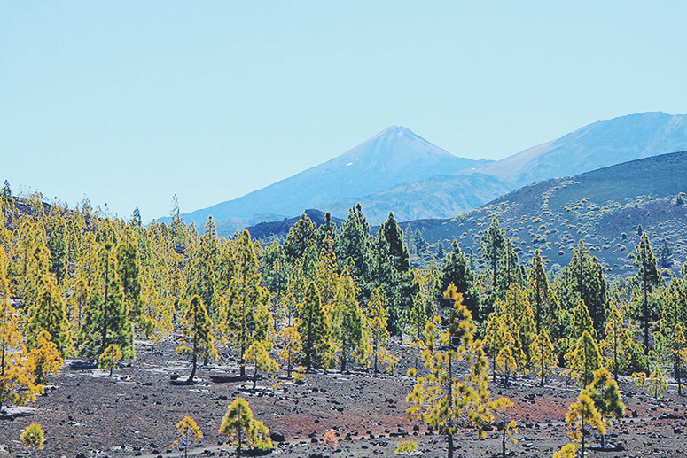 LostinTenerife_GranMeliaPalaciodeIsora_EliG_LostinVogue_27