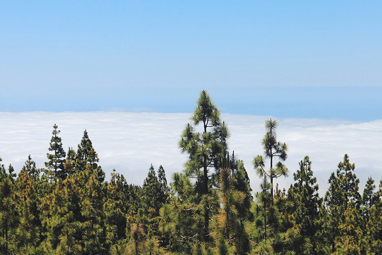 LostinTenerife_GranMeliaPalaciodeIsora_EliG_LostinVogue_34