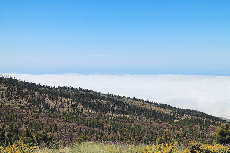 LostinTenerife_GranMeliaPalaciodeIsora_EliG_LostinVogue_38