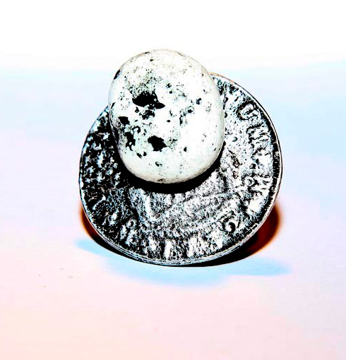 Anillo Moneda Piedra