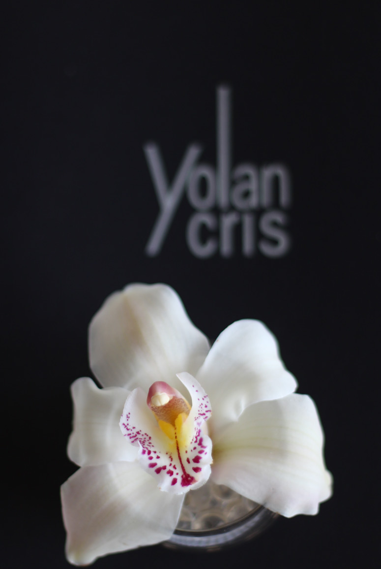 Yolan-Cris_2016_BarcelonaBridalWeek_EliG_LostinVogue_02