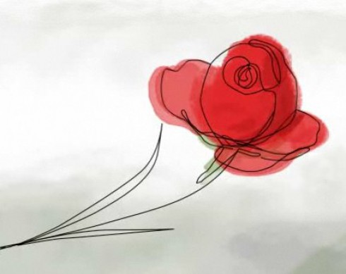 rosa