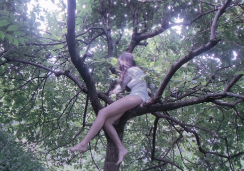 sitting-in-a-tree-800x560